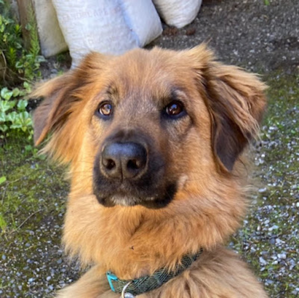 Meet your Posher, Laurie